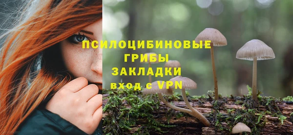 а пвп мука Армянск