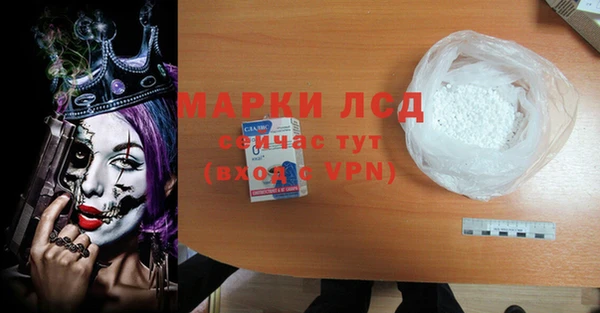ECSTASY Алзамай