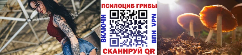 Галлюциногенные грибы MAGIC MUSHROOMS  Енисейск 